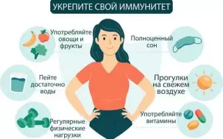 Слабый иммунитет: симптомы, причины и способы укрепления