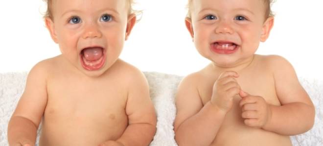Как забеременеть двойней? Какова вероятность забеременеть двойней?
